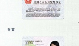 永久居留在线观看,在线观看全解析