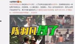 王志傲事件爆料视频大全,揭秘爆料视频背后的真相与争议