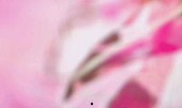 33伦理在线观看,揭秘伦理道德的深度解读