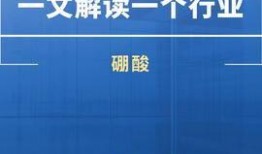 新闻法律热点爆料入口,追踪社会正义的利器