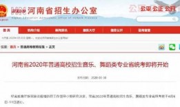 河南高招最新爆料消息新闻,揭秘录取内幕，公平公正再受关注