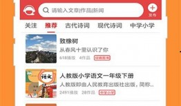 泉涌在线观看,揭秘网络直播的魅力与挑战