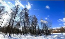 雪雨 在线观看,在线观看的浪漫邂逅